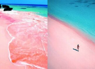 Spiaggia Rosa – The Pink Beach of Italy
