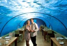 Top 10 Most Expensive Restaurants in the World
