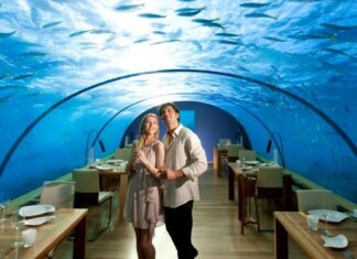 Top 10 Most Expensive Restaurants in the World