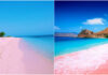 10 Wonderful Pink Beaches in the World
