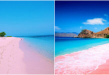 10 Wonderful Pink Beaches in the World