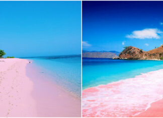 10 Wonderful Pink Beaches in the World