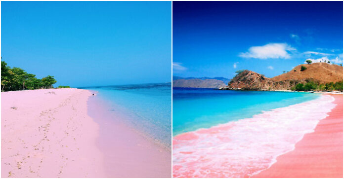 10 Wonderful Pink Beaches in the World