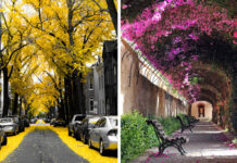 10 Most Beautiful Streets in the World