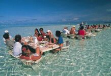 Top 10 Best Places in The World for Quality of Life