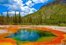 10 Best National Parks in the US That Everyone Should Visit at Least Once