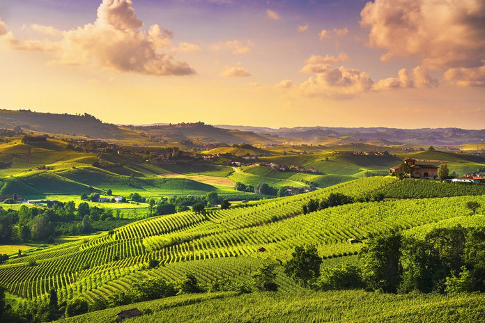 You Can now Buy Your Own Prosecco Vineyard in Italy