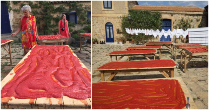 How to Make Tomato Paste in Sicily (VIDEO)