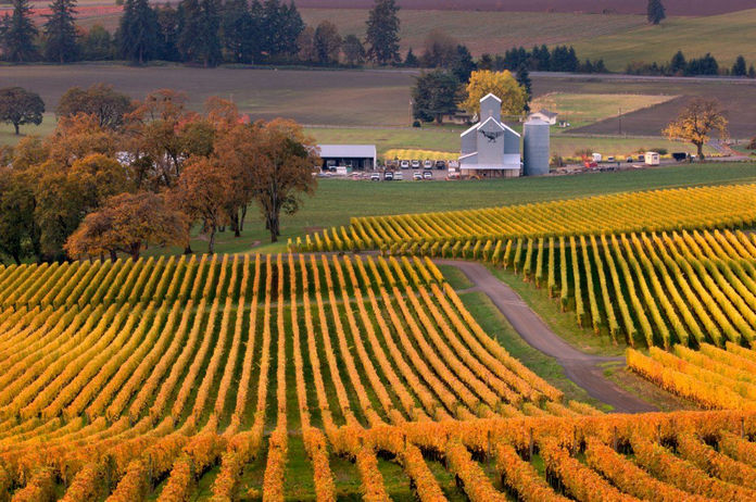 Top 10 Thanksgiving Destinations for 2020