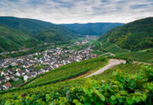 10 of the Best Wine Regions in Europe
