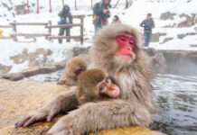 10 Most Beautiful Winter Destinations in the World