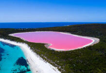 10 Pink Lakes From Around The World