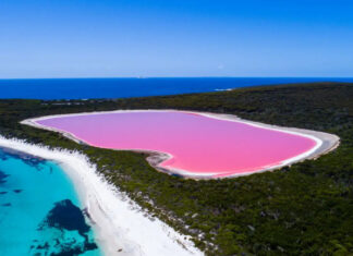 10 Pink Lakes From Around The World
