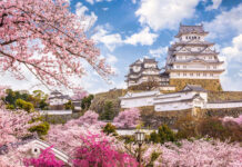 Countries with the Richest Cultures in the World