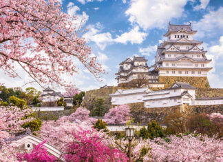 The Most Exciting Countries to Travel to in 2024