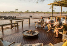 Top 10 Hotels and Resorts Where You Can Watch Wildlife From the Property