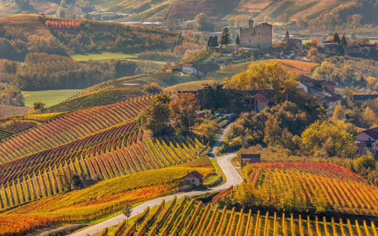 Italy s Best Wine Regions Earthology365 italy-s-best-wine-regions-earthology365