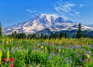 Most Beautiful Landscapes in the USA