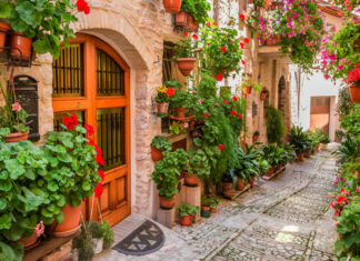 Reasons to Visit Spello Village in Italy