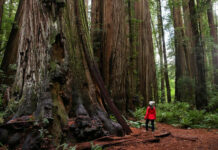 Top 10 Most Beautiful Places in California