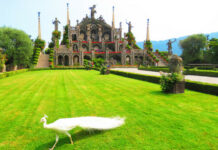 Italian Flower Fields, Gardens and Villas You’ll Love