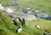 10 Epic Nature Escapes in Europe