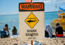 10 Most Dangerous Beaches in the World