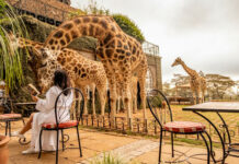 10 Hotels You Absolutely Need to Stay at in This Lifetime