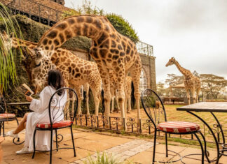 10 Hotels You Absolutely Need to Stay at in This Lifetime