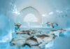 Top 5 World’s Ice Hotels