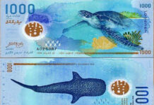10 World Currencies So Beautiful You Won’t Want to Spend Them