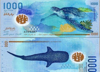 10 World Currencies So Beautiful You Won’t Want to Spend Them