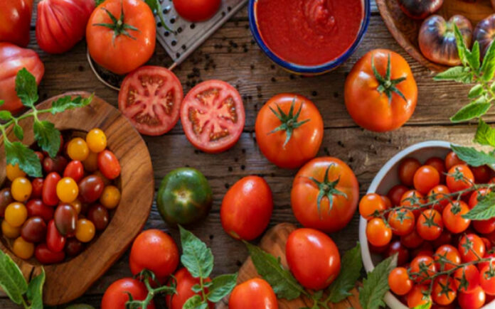 Top 7 Italian Tomato Varieties and Their Best Uses