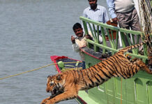 10 Places Where Humans and Wildlife Struggle to Coexist