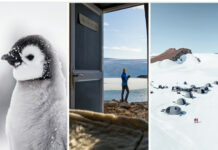 Inside the World’s Most Luxurious Ice Camp: Antarctica Like You’ve Never Seen!