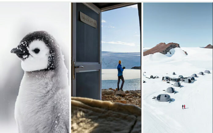 Inside the World’s Most Luxurious Ice Camp: Antarctica Like You’ve Never Seen!