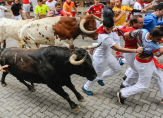 Top 7 Spanish Festivals That Will Blow Your Mind