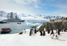 Top 10 Bucket List Trips to Plan for 2026