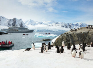 Top 10 Bucket List Trips to Plan for 2026