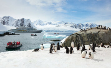 Top 10 Bucket List Trips to Plan for 2026