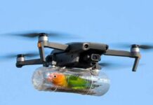 Top 10 Times People Went Above and Beyond for Their Pets